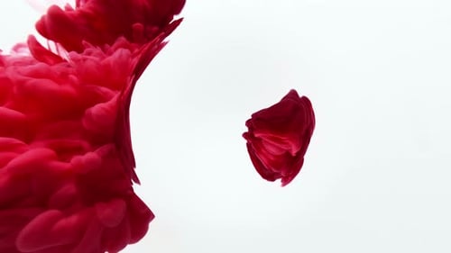 Abstract Red White Background Circles. Color Mixing