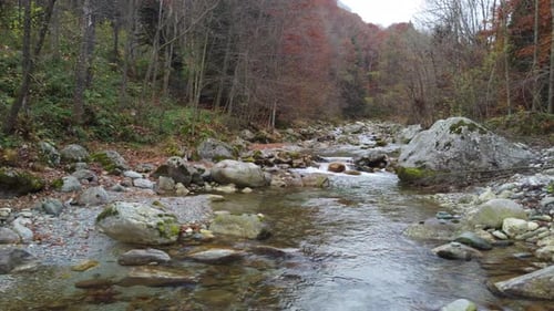 Herbst, Berg, Fluss, Herbst Bäume