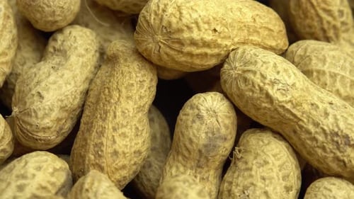 Close Up View of Peanuts in Shells