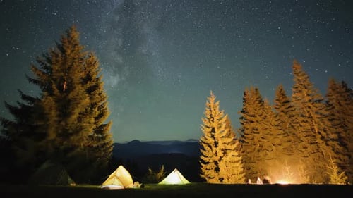Camping Tents Under Starry Night Sky in Forest