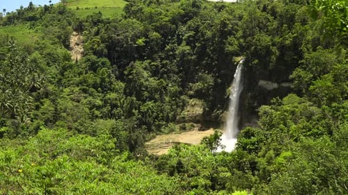 Tropical Waterfall Flows in Lush Green Forest