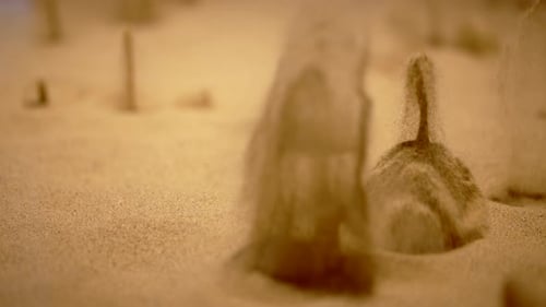Sand Fountain in Desert