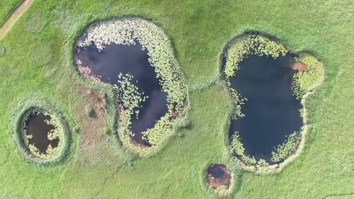 Aerial view of peaceful ponds on a green meadow