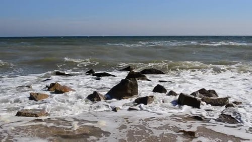 Sea 5