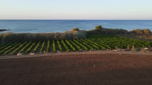 Protaras. Evening coast of Cyprus. Resort town in eastern Cyprus. Mediterranean Sea.