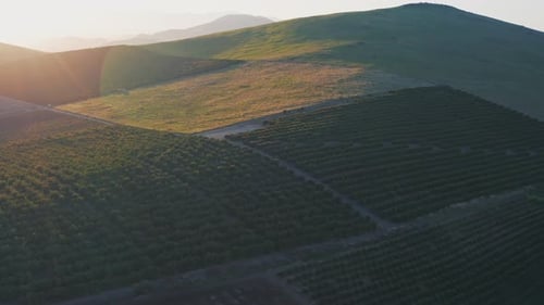 Aerial View of Agricultural Farmland at Sunset
