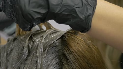 Hairdresser Applies Hair Dye for Salon Treatment