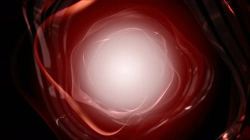 Abstract Red Fluid Motion Background Loop