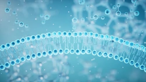 Scientific 3D Animation of Cell Membrane and Molecules