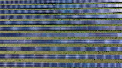 Solar Panel Plant