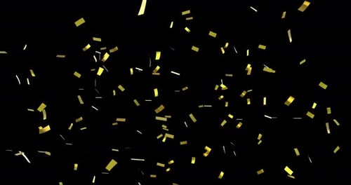 Golden Confetti Falling Animation Overlay