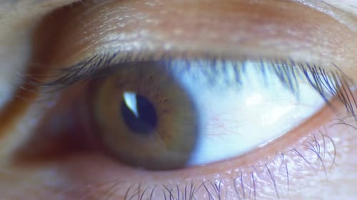 Macro Close-up Male Human Eye Blinking. Slow Motion