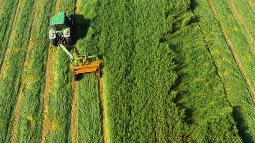 Tractor Harvesting Green Field from Birds Eye View