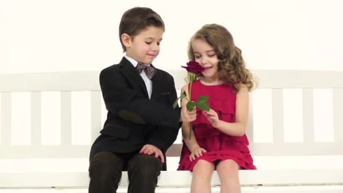 Boy Giving Rose to Girl on Bench