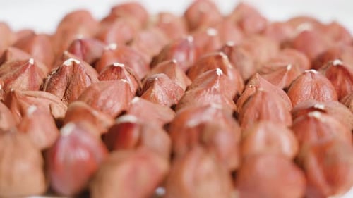 Macro View of Fresh, Peeled Hazelnuts