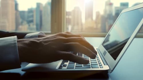 Business Person Working on Computer
