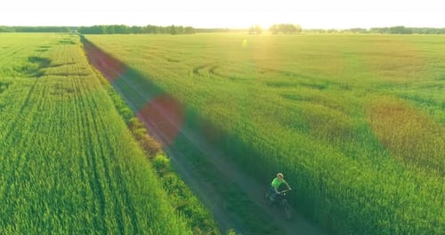 Aerial View on Young Boy, That Rides a Bicycle Thru a Wheat Grass Field on the Old Rural Road