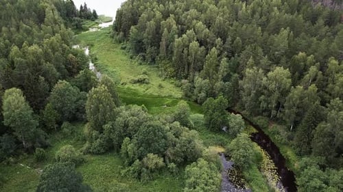 Winding River Ovsyanka 08