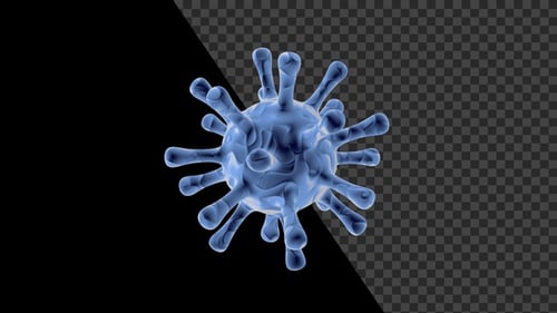 Covid 19 Coronavirus V14