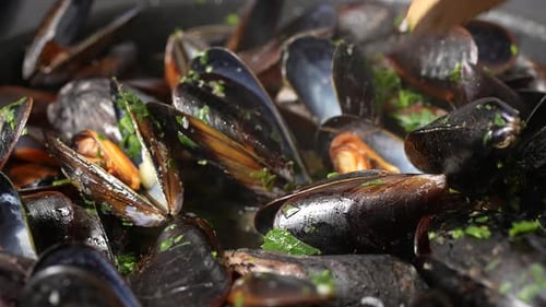 Close Up of Stirring Mussels with Herbs