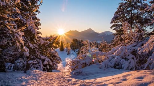 Sunrise Winter