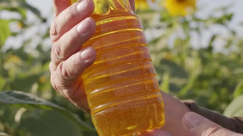 Sunflower Seed Oil In Plastic Bottle