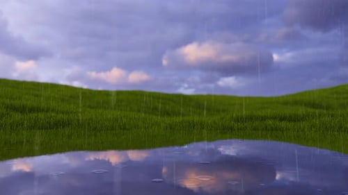 Meadow
