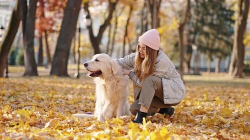 Woman Pets Golden Retriever Dog in Autumn Park