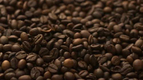 Roasted Coffee Beans Falling in Slow Motion Close-up