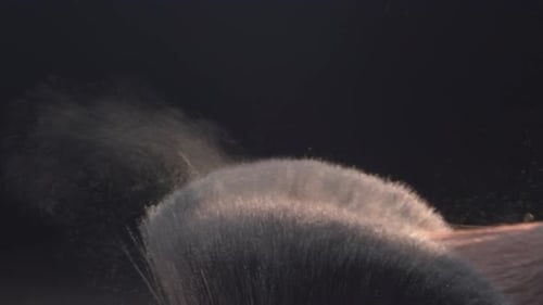 Pinceles cosméticos en polvo
