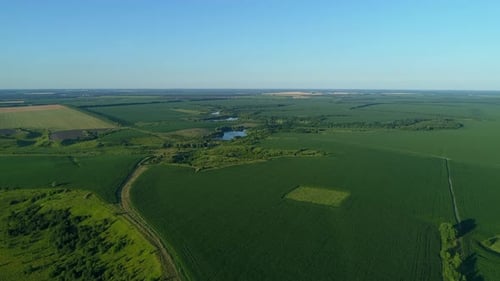 Aerial View Beautiful Landscape in Summer Drone Flying Over Field in Sunny Day