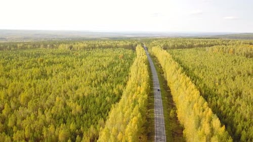 Straße in der Natur