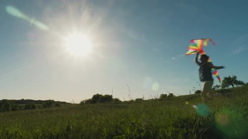 Family Running with a Kite in a Meadow on a Sunny Day
