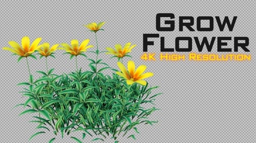 Realistic Growing Grass with Yellow Flowers Animation