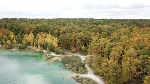 See nahe Wald