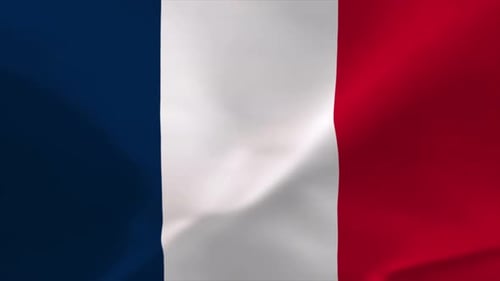 Seamlessly Looping Waving French Flag Vertical Background