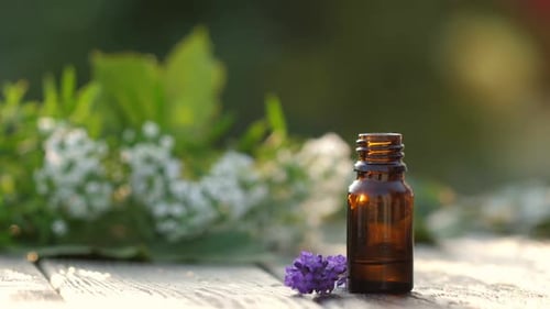 Drop of Rosemary Essential Oil Falls From a Pipette Into a Cosmetic Bottle, Macro