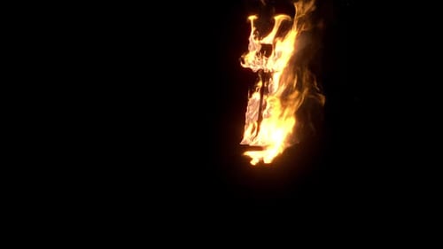 Profi-Feuer 1