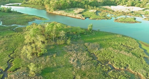 Aerial View of River Through Green Landscape