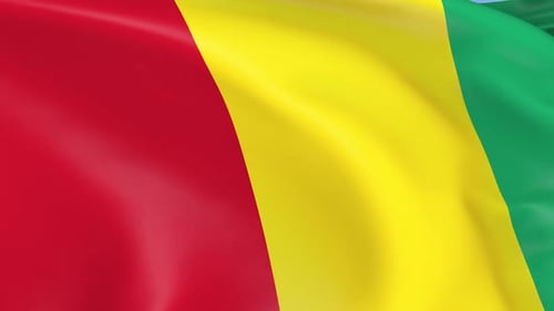 Realistic Guinea Flag Waving Seamless Loop Animation