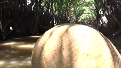 Tropical River Boat Ride Through Trees at Daytime
