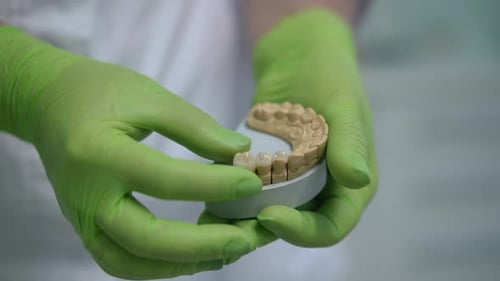 Dentist Placing Crowns in Dental Mold