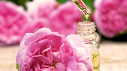 Tea Rose Essential Oil in a Small Bottle