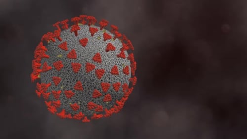 3D Animated Virus Particle Microscopic Rotation Loop