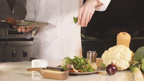 Close Up Hand of Chef Accompanying Salad with Cheese Rosemary, Salt. Delicious, Modern Cuisine