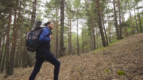 Man Hikes Up Forest Trail with Backpack
