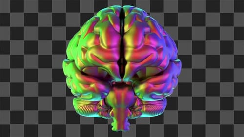 Colorful Brain Rotating