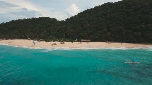 Tropical Sand Beach with Palm Trees