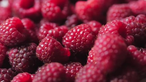 Fond de framboise frais et juteux, mû