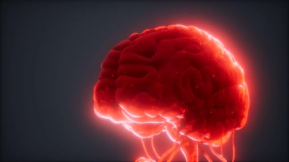 Animated Futuristic Glowing Brain for Medical Science Presentations ...